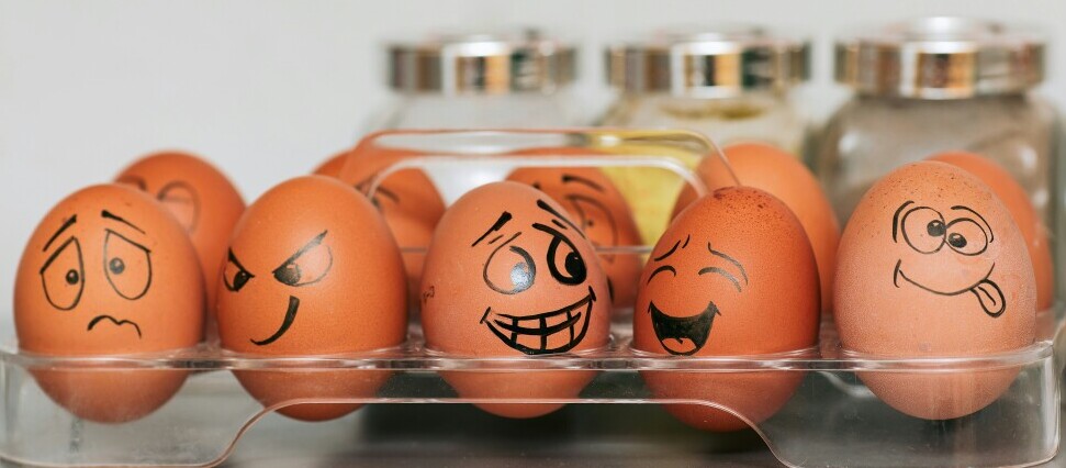 eggs for delight